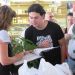 IMG_4284 (Copiar)