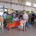 IMG_4275 (Copiar)