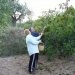 COGIENDO  HIGOS PARA LOS ROMEROS [640x480]