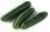 Pepino español