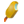 >