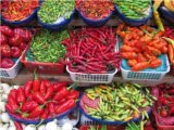 Productos destacados