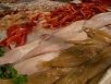 Pescado fresco