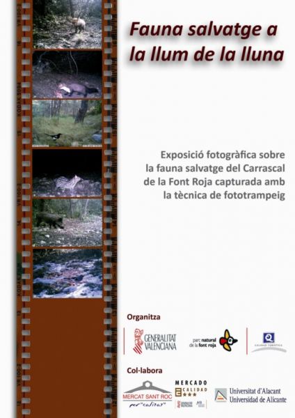 Exposición fotográfica "Fauna salvatge a la llum de la lluna"