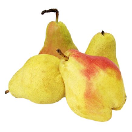 pera alejandrina 1ª