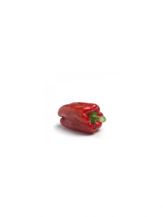 pimiento rojo