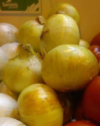 cebollas tiernas (manojo)