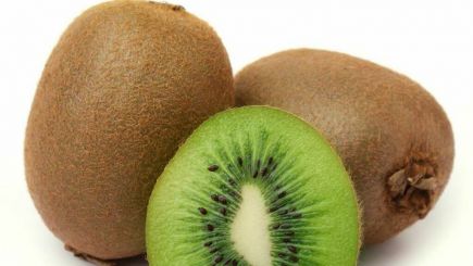 kiwi nueva zelanda