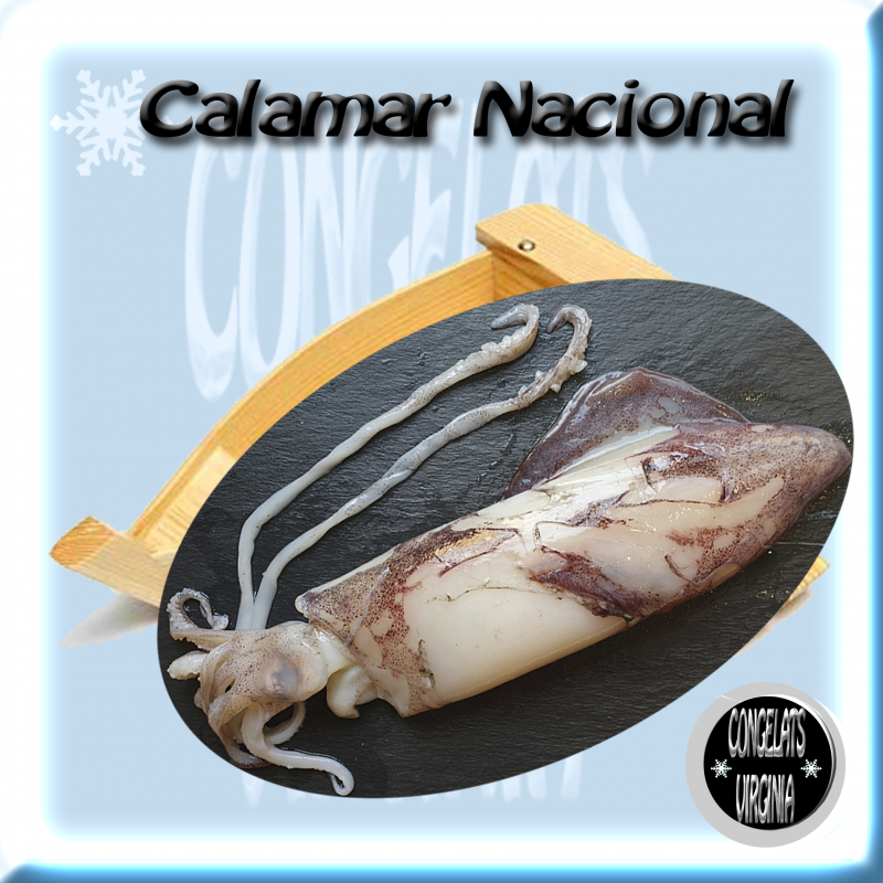 calamar nacional 