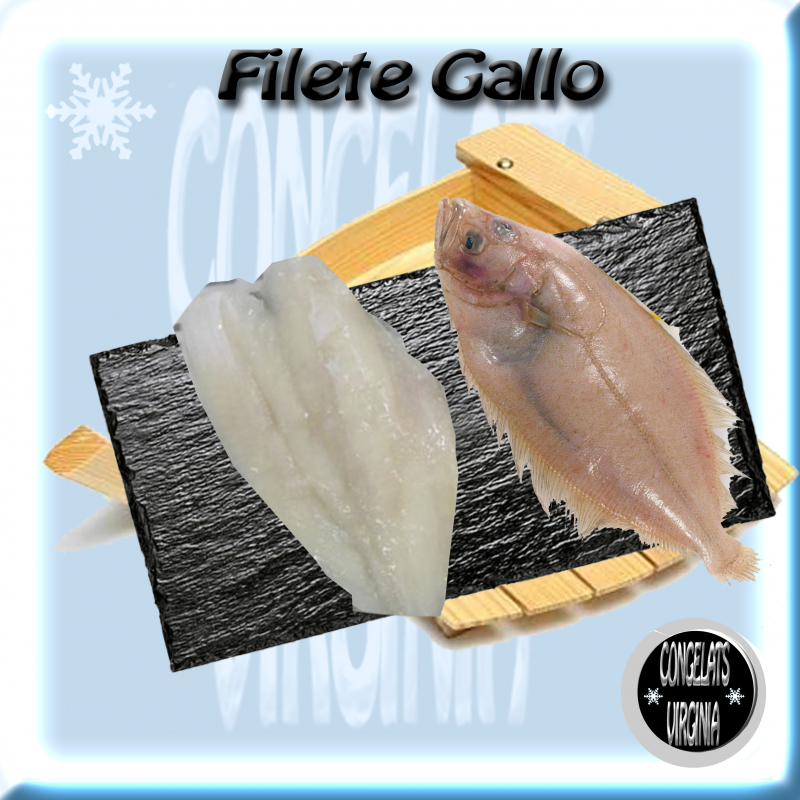 filete gallo