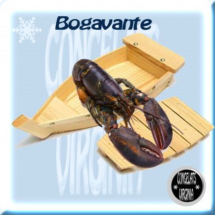 BOGAVANTE