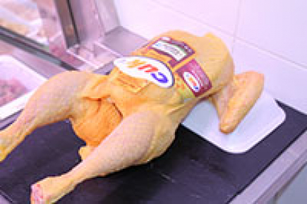 Pollo cuk ( peso aprox 2- 2,5 kg)