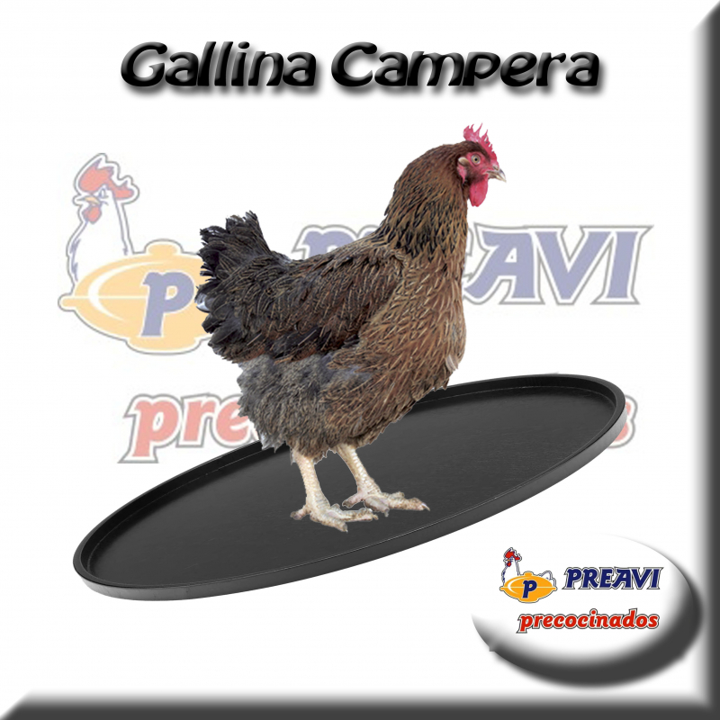 Gallina campera entera ( peso aprox 2,850 kg)