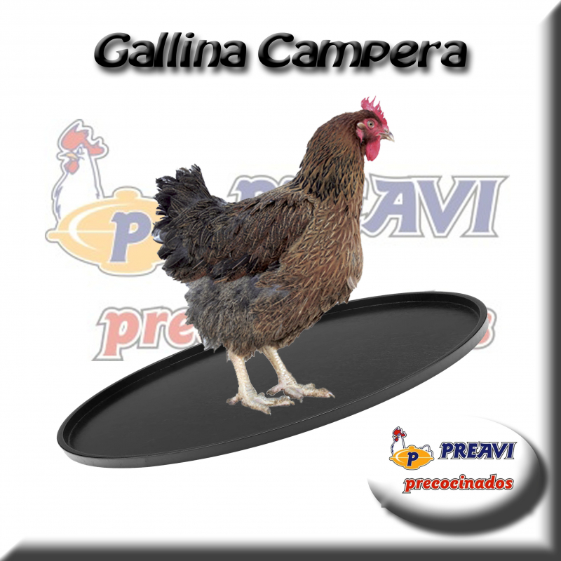 Gallina campera entera ( peso aprox 2,850 kg)