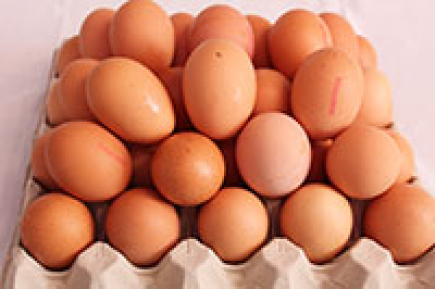 1 dotzena d'ous l
