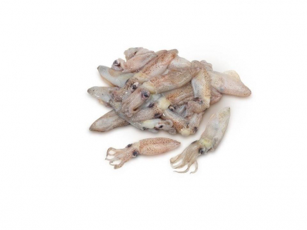 CHIPIRON