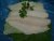 filete halibut
