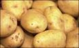 patatas agria