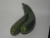 calabacin blanco