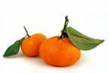 mandarinas  orrys  (  de valencia  )