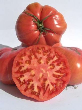 tomate rosa altea