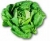 lechuga (pieza)