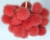 rambután