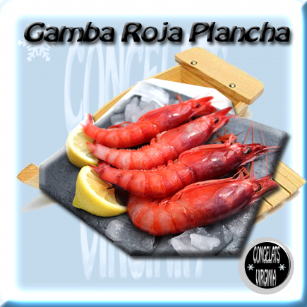 GAMBA ROJA PLANCHA