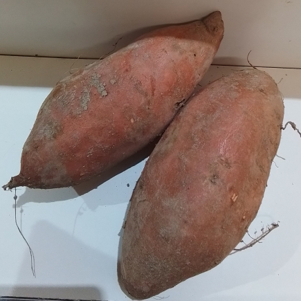 Batata