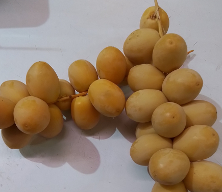 Datil amarillo 