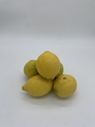 LIMONES (peso aprox 180gr pza)