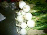 CEBOLLA TIERNA {manojo} 3 piezas