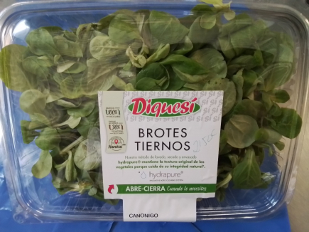 Rucula o canonigos   caja de 100 gr. Bandeja