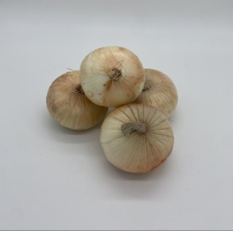CEBOLLAS DULCES