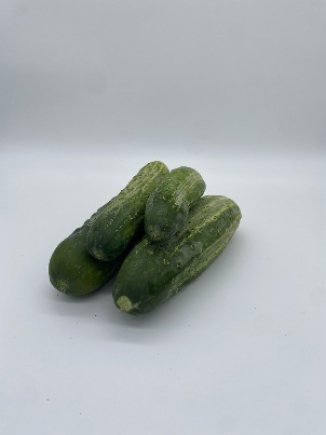 PEPINOS  del tereno (peso aprox.190gr unidad)