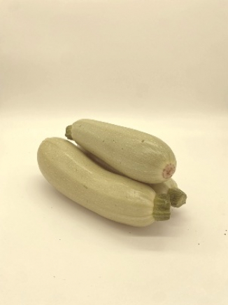 CALABACIN BLANCO (peso aprox.390gr pieza