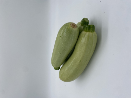 CALABACIN BLANCO (peso aprox.390gr pieza