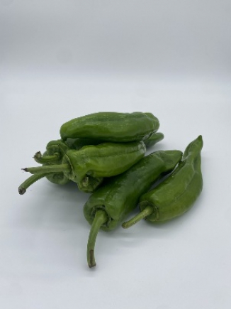 PIMIENTO VERDE ITALIANO (peso aprox.170gr /pza.)