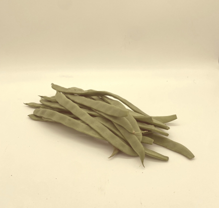 JUDIA PERONA (ancha) 