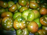 TOMATE RAF 