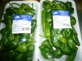 PIMIENTO PADRON  ( de Valencia 