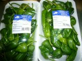 PIMIENTO PADRON  ( de Murcia )