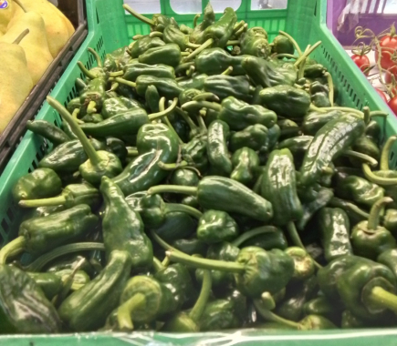 PIMIENTO PADRON  ( de Valencia 