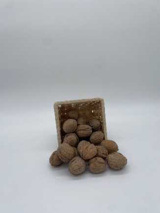 NUECES  del Terreno