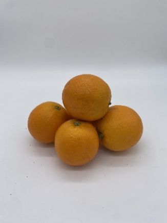 NARANJAS  Zumo España ( VALENCIA)