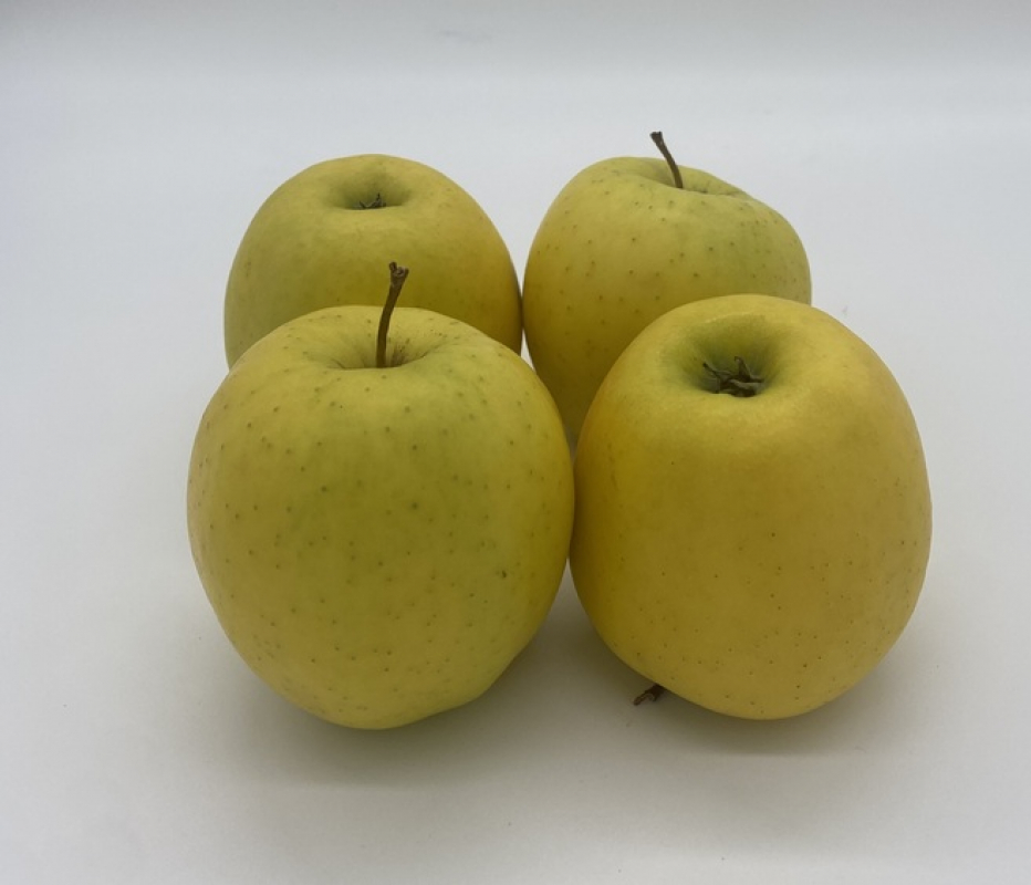 MANZANAS GOLDEN (peso aprox.230gr./pza) Francia