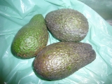 AGUACATE de (270gr.)