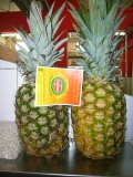 PIÑA NATURAL (1pieza 1.850gr/aprox.)