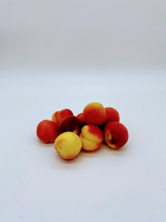 ALBARICOQUES