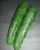 pepino